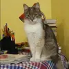 Отзыв от Вика Ежова